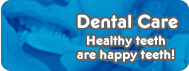 Dental Care Healthy teeth are happy teeth!